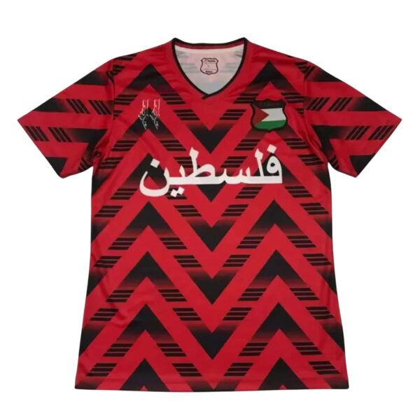 Camiseta Palestina Concepto