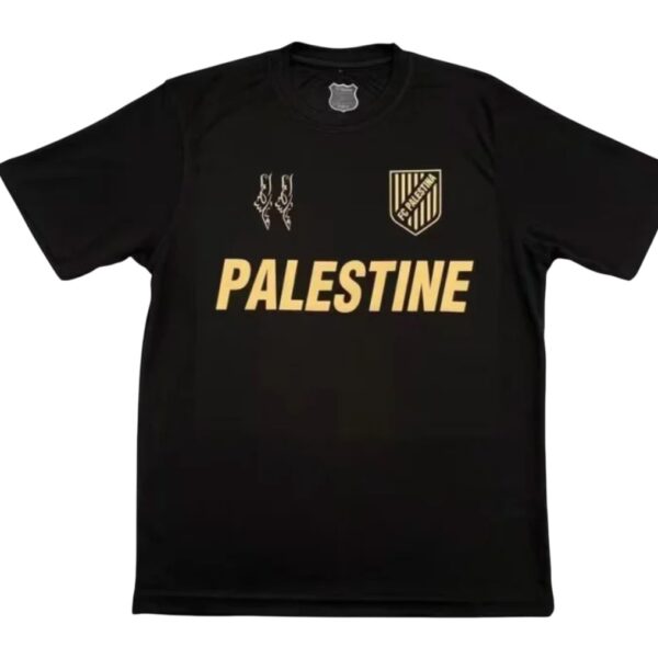Camiseta Palestina Concepto