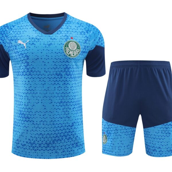 Conjunto de calentamiento Palmeiras azul