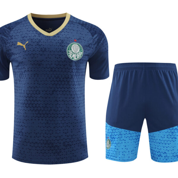 Conjunto de calentamiento Palmeiras azul oscuro