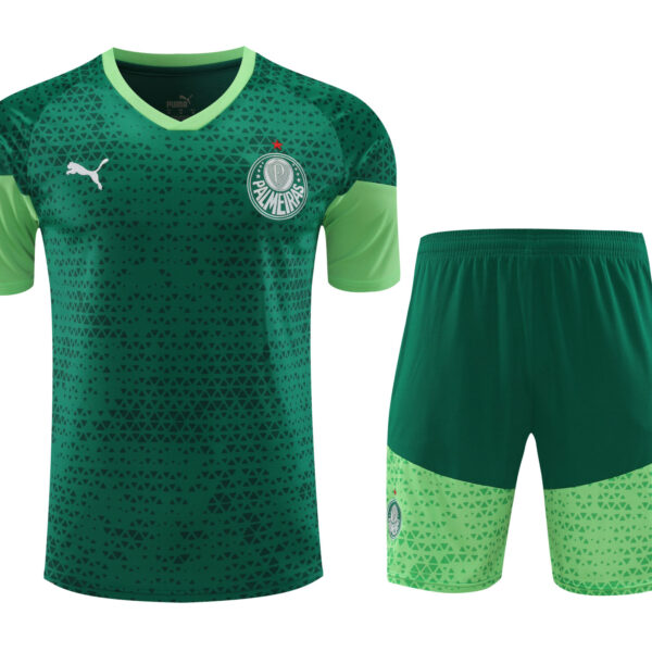 Conjunto de calentamiento Palmeiras verde oscuro