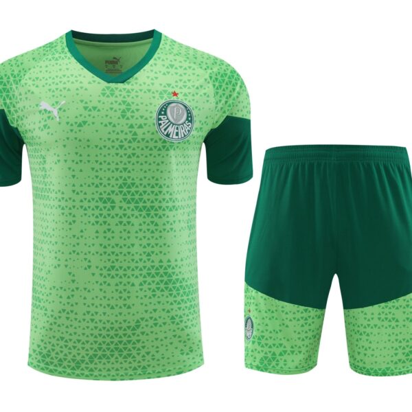 Conjunto de calentamiento Palmeiras verde