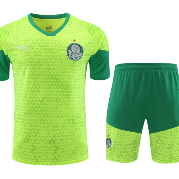 Conjunto de calentamiento Palmeiras verde claro