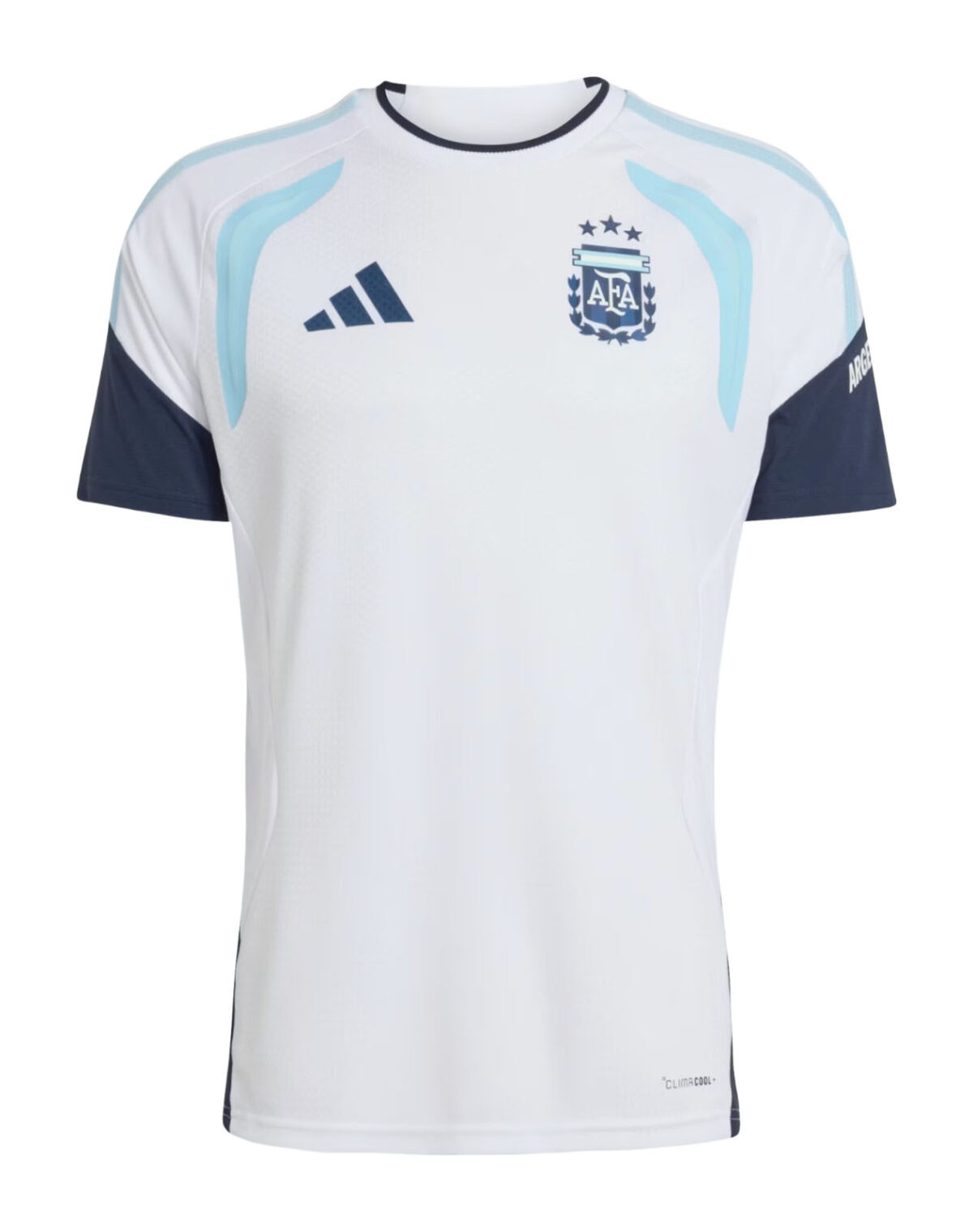 argentina 26 train x